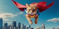 happy flying cat using superhero wear Royalty Free Stock Photo