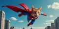 happy flying cat using superhero wear Royalty Free Stock Photo
