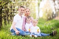 Happy four member young family spending spring afternoon together Royalty Free Stock Photo