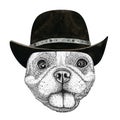 Happy french bulldog dog head hand drawn illustration. Wild animal wearing cowboy hat Wild west
