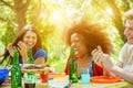 Happy friends having barbecue meal outdoor with back sun light - Young people having at bbq party toasting beers - Friendship,