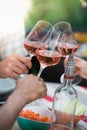 Happy friends having fun outdoors, hands toasting rose wine glass Royalty Free Stock Photo
