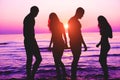 Happy friends having fun on tropical beach at sunset - Group of young people having enjoying summer vacation - Youth lifestyle, Royalty Free Stock Photo