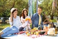 Happy friends having picnic on sunny day Royalty Free Stock Photo