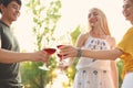 Happy friends having picnic in park on sunny day, Royalty Free Stock Photo