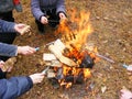 Happy friends near bonfire during camping in the forest