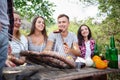 Happy friends in the park having picnic on a sunny day. Group of adult people having fun on a summer picnic. Royalty Free Stock Photo