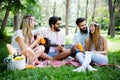 Happy friends in the park having picnic on a sunny day. Royalty Free Stock Photo