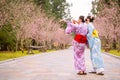 Happy friends pointing cherry-blossom Royalty Free Stock Photo