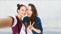 Happy friends taking selfie and showing peace Royalty Free Stock Photo