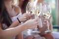 Happy friends toasting wine Royalty Free Stock Photo