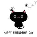 Happy Friendship Day. Black cat silhouette and butterfly insect.