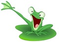 Happy frog Royalty Free Stock Photo