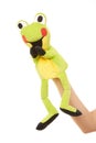 A happy frog puppet, hand puppet animal Royalty Free Stock Photo