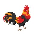 Happy full color rooster crowing
