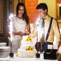 Happy fun bride and groom cuting big white weddin cake decorate Royalty Free Stock Photo