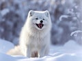 Happy and funny arctic fox