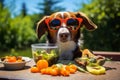 Happy funny dog in red sunglasses sitting at dining vegetable table at sunny summer day Royalty Free Stock Photo