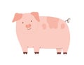 Happy funny pig isolated on white background. Cute pink piglet with hooked tail. Childish colored flat cartoon vector