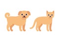 Happy ginger dog and cat, standing puppy pet. House animal, canine feline pet. Vector illustration