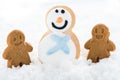 Happy gingerbread kids play on snow