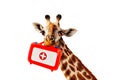 Happy giraffe hold doctor kit in mouse close view