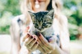 Happy girl with bright nails is holding small cute kitten in her hands. Smiling woman is playing with a cat outdoors. Furry pet Royalty Free Stock Photo