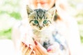 Happy girl with bright nails is holding small cute kitten in her hands. Smiling woman is playing with a cat outdoors. Furry pet Royalty Free Stock Photo