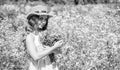 Happy girl collecting wildflowers sunny summer day, Harvesting Drying and Storing Herbs Royalty Free Stock Photo