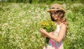 Happy girl collecting wildflowers sunny summer day, Harvesting Drying and Storing Herbs Royalty Free Stock Photo