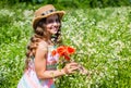 Happy girl collecting wildflowers sunny summer day nature background Royalty Free Stock Photo