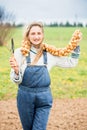 happy girl farmer in a field in denim overalls holds a bunch of onions. Planting bulbs in the ground in the garden.The