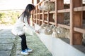 Happy girl feeding sheep ranch in South Korea