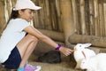 Happy Girl Feeds Rabbit