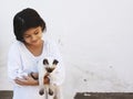 Cute kid girl holding in hands a beautiful siamese cat Royalty Free Stock Photo