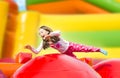 Happy Girl Jumping on the Playground Inflate Castle Royalty Free Stock Photo