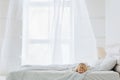 Happy girl lying down on bed in white room with window Royalty Free Stock Photo