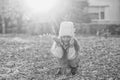 Happy girl playing with autumn leaves. Happy child walking and having fun in fall backyard Royalty Free Stock Photo