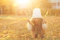 Happy girl playing with autumn leaves. Happy child walking and having fun in fall backyard Royalty Free Stock Photo