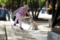 Happy Girl playing with her Dog in the City. Father working wih laptop behind Royalty Free Stock Photo