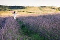 Happy girl runs with a toy airplane on field at sunset light. Children play toy airplane. Little girl wants to become Royalty Free Stock Photo