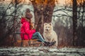 Happy girl with Samoyed dog in winter forest