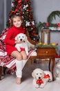 Happy girl with two puppies Golden Retriever on a background of Christmas tree