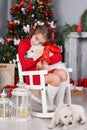 Happy girl with two puppies Golden Retriever on a background of Christmas tree Royalty Free Stock Photo