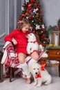 Happy girl with two puppies Golden Retriever on a background of Christmas tree Royalty Free Stock Photo