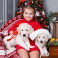 Happy girl with two puppies Golden Retriever on a background of Christmas tree