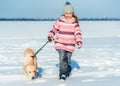 Happy girl walking with dog Royalty Free Stock Photo