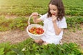 Happy girl in white dress is holding basket with berries and eating strawberry. Royalty Free Stock Photo