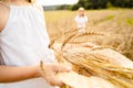 Happy girl in white dress with straw hat full of ears of wheat, rye, barley walking in yellow, orange field. Summer Royalty Free Stock Photo