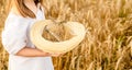 Happy girl in white dress with straw hat full of ears of wheat, rye, barley walking in yellow, orange field. Summer Royalty Free Stock Photo